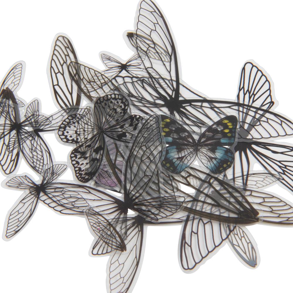 Transparent Wings | idea-ology
