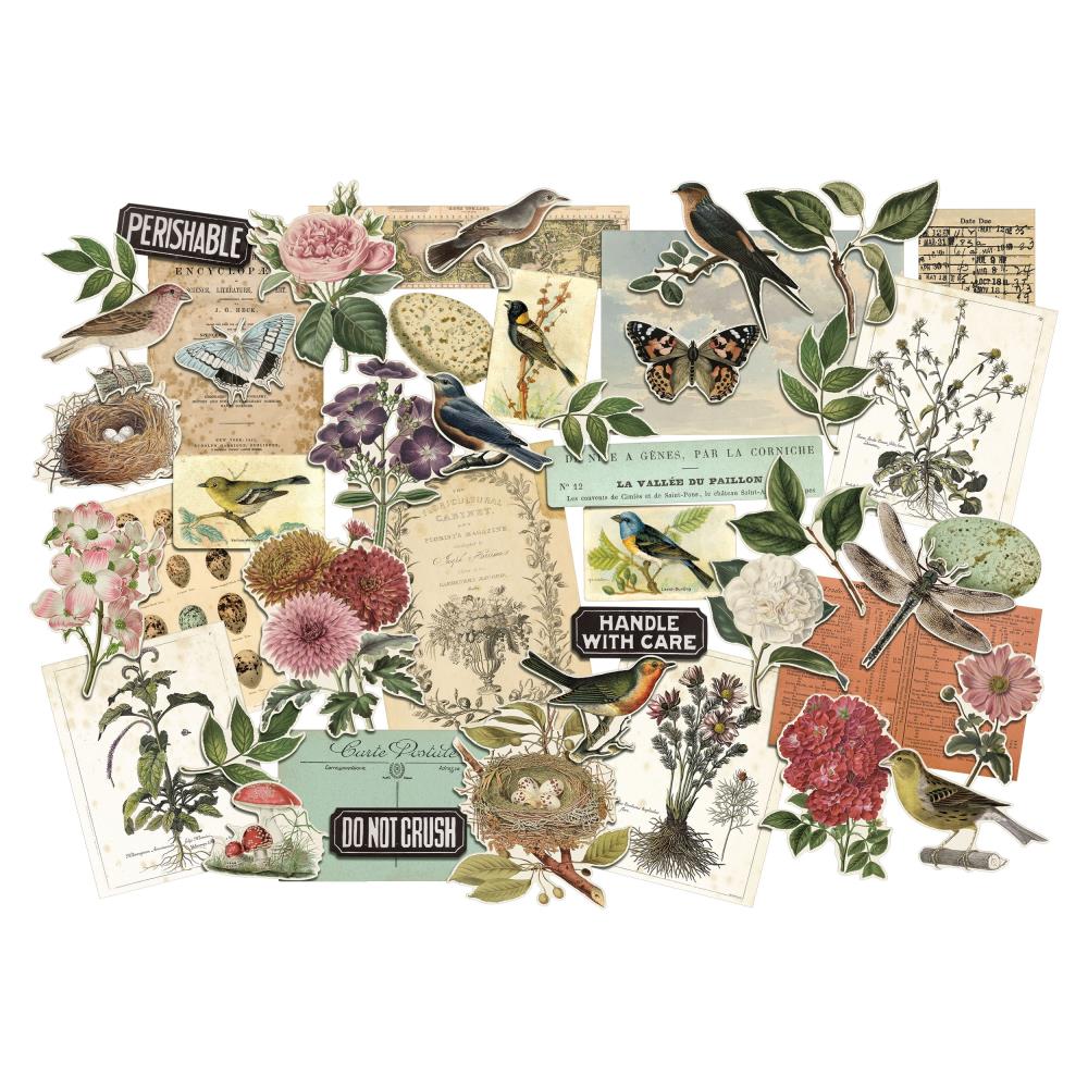 Organic Layers | idea-ology
