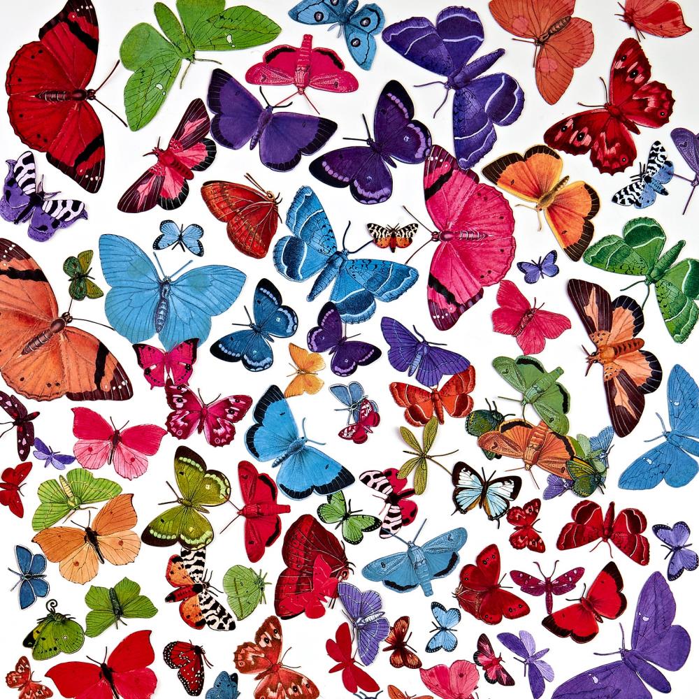 Spectrum Gardenia Butterfly Laser Cut-Outs