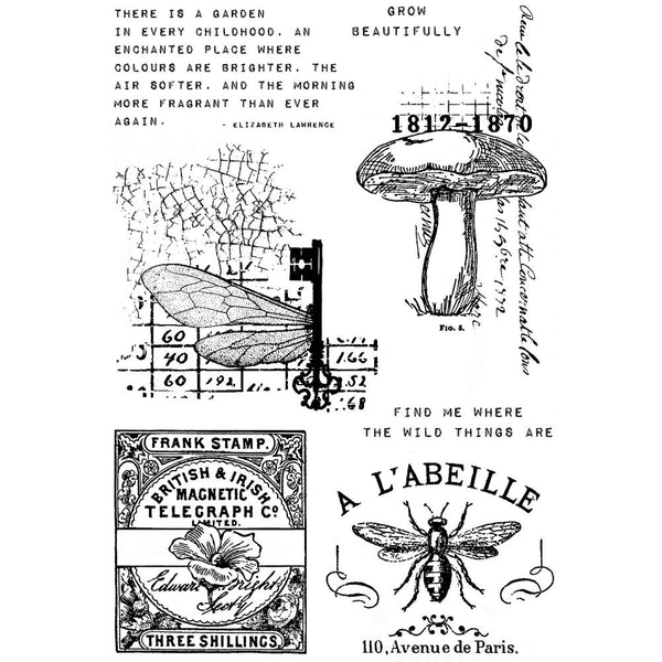 Snippets of Nature 4x6 Clear Stamp Set | Sam Poole