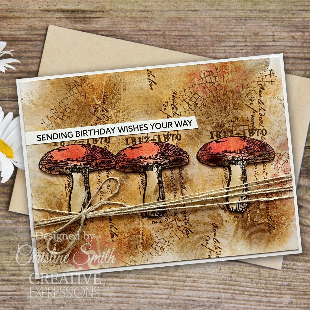 Snippets of Nature 4x6 Clear Stamp Set | Sam Poole