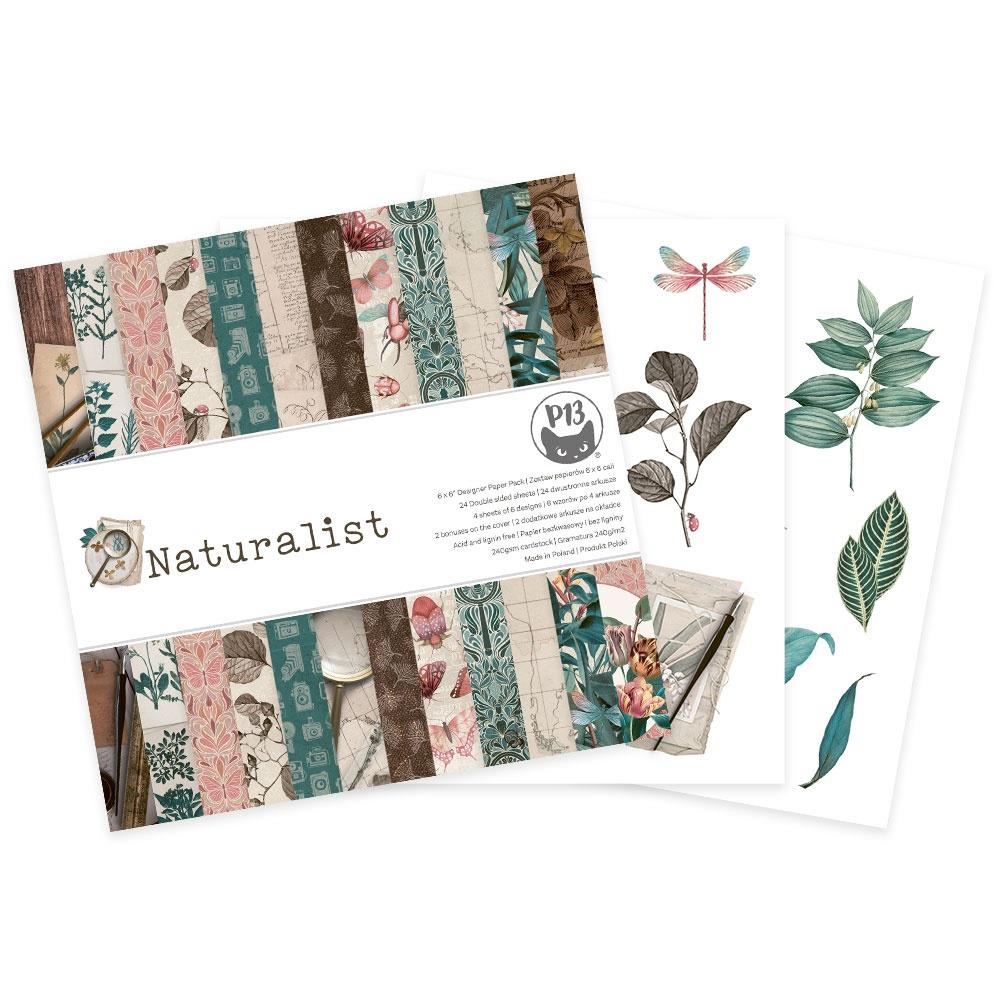 The Naturalist 6x6 Double-Sided Paper Pad