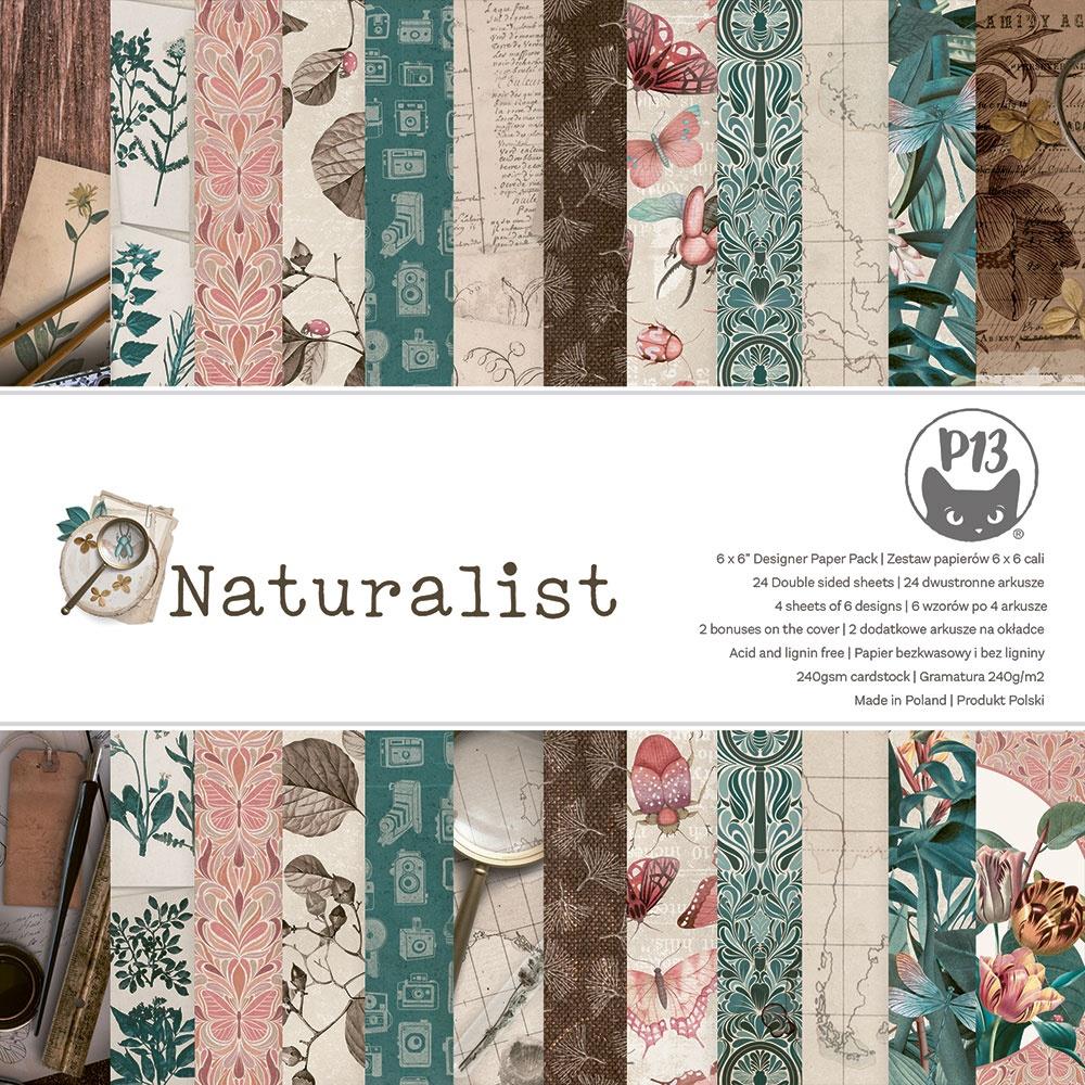 The Naturalist 6x6 Double-Sided Paper Pad