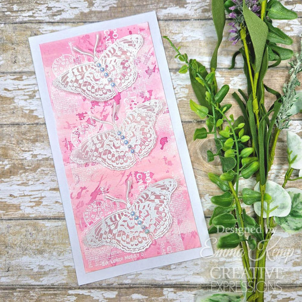 Fly 4x6 Clear Stamp Set | Sam Poole