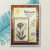 Bloom 4x6 Clear Stamp Set | Sam Poole