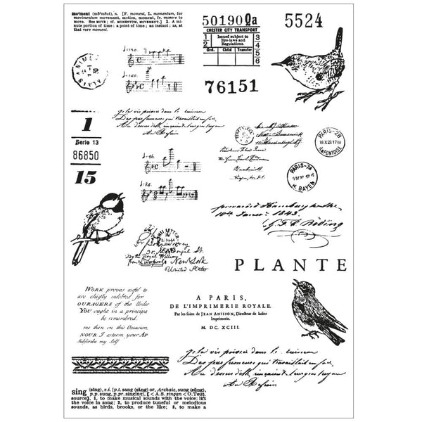 Bird Song Clear Stamps + Framelits Die Set