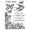 The Visitor A6 Stamp + A5 Stencil Set | Cat Kerr