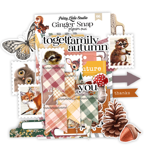 Potpourri Fall Mix Ephemera | Ginger Snap