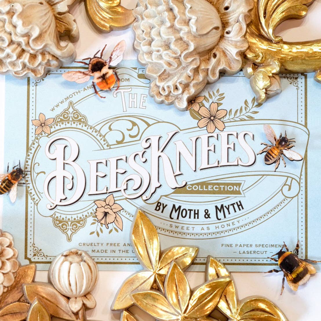 The Bees Knees Collection 12pc Laser Cut Specimens