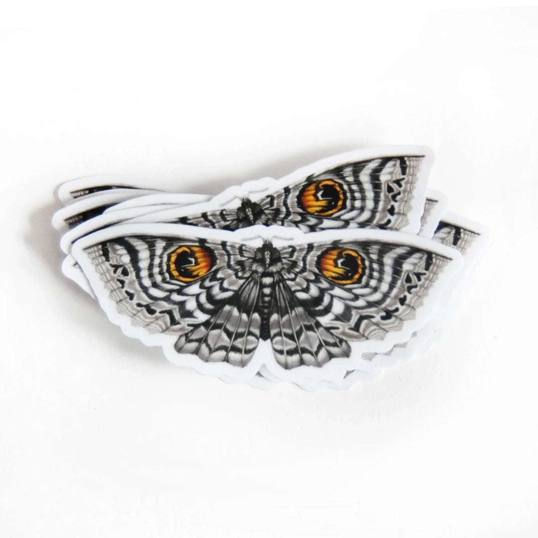 Leopard Moth Illustrated Sticker