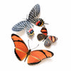 Flower Child Psychedelic Butterflies Laser Cut Specimens