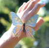 Moon Glimmer Butterfly Laser Cut Specimens