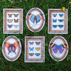 Dreamy Mini Butterfly 'Pop-Out' Greeting Card