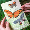 Flower Child Psychedelic Butterflies Laser Cut Specimens