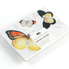 Natural History Watercolour Postcard Book