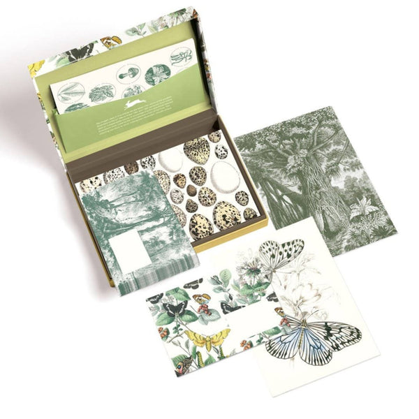 Natural History Letter Writing Set