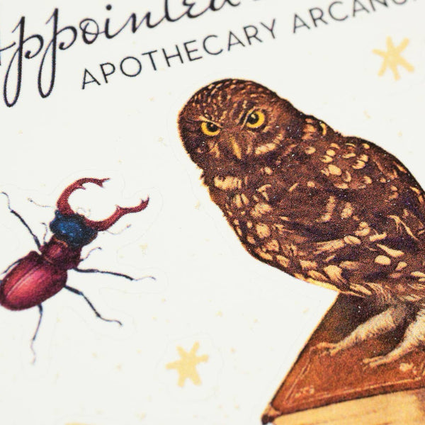 Apothecary Arcanum Sticker Sheet