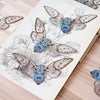 Ghost Cicada 3pc Laser Cut Specimens