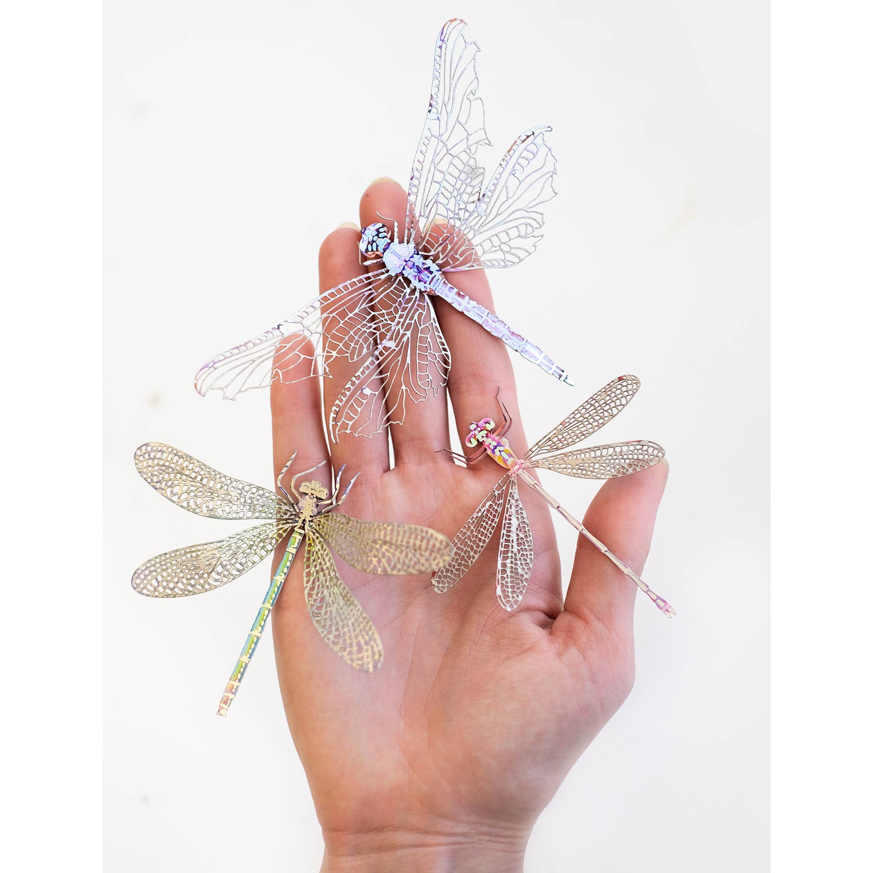 Paper Dragonfly Laser Cut Specimens 💫Celestial Beings💫