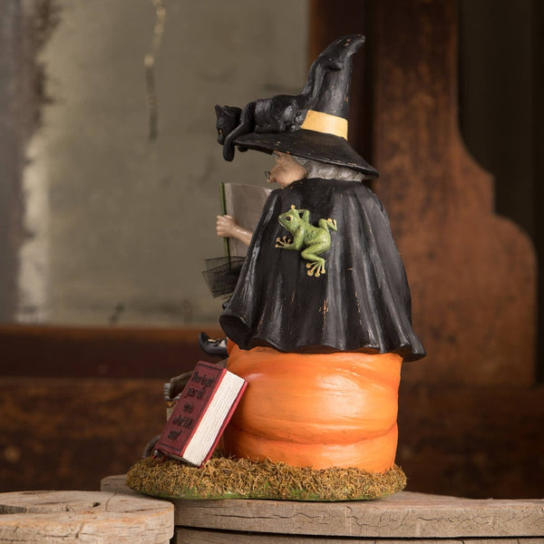 How to Train Your Black Cat Witch Statuette