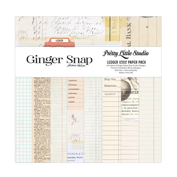 Ginger Snap Ledger 12x12 Single Sided Paper Pack