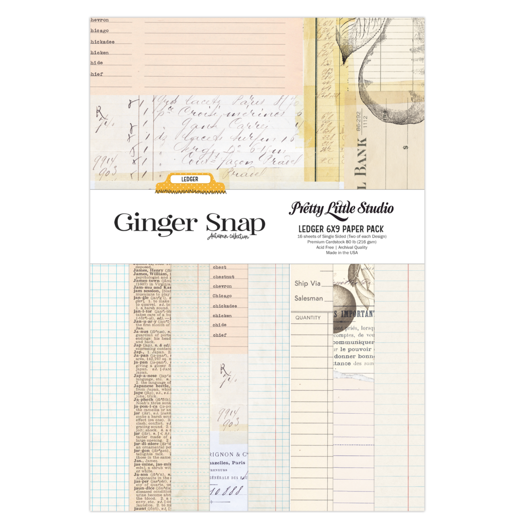 Ginger Snap Ledger 6x9 Single-Sided Paper Pack