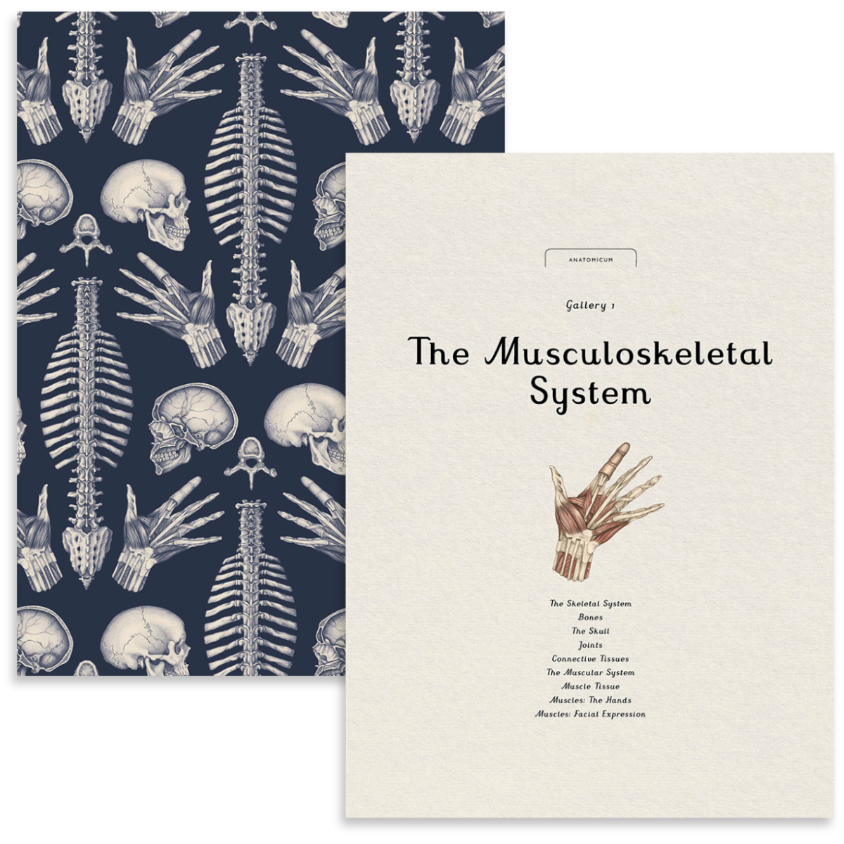 Anatomicum | Welcome to the Museum Book Collection