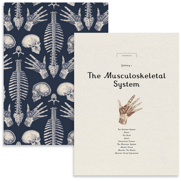 Anatomicum | Welcome to the Museum Book Collection {back soon!}