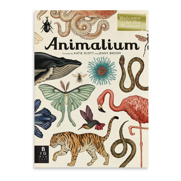 Bienvenue dans la collection de livres du musée | Animalium {plusieurs types + remise groupée}