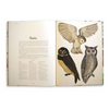 Animalium | Welcome to the Museum Book Collection