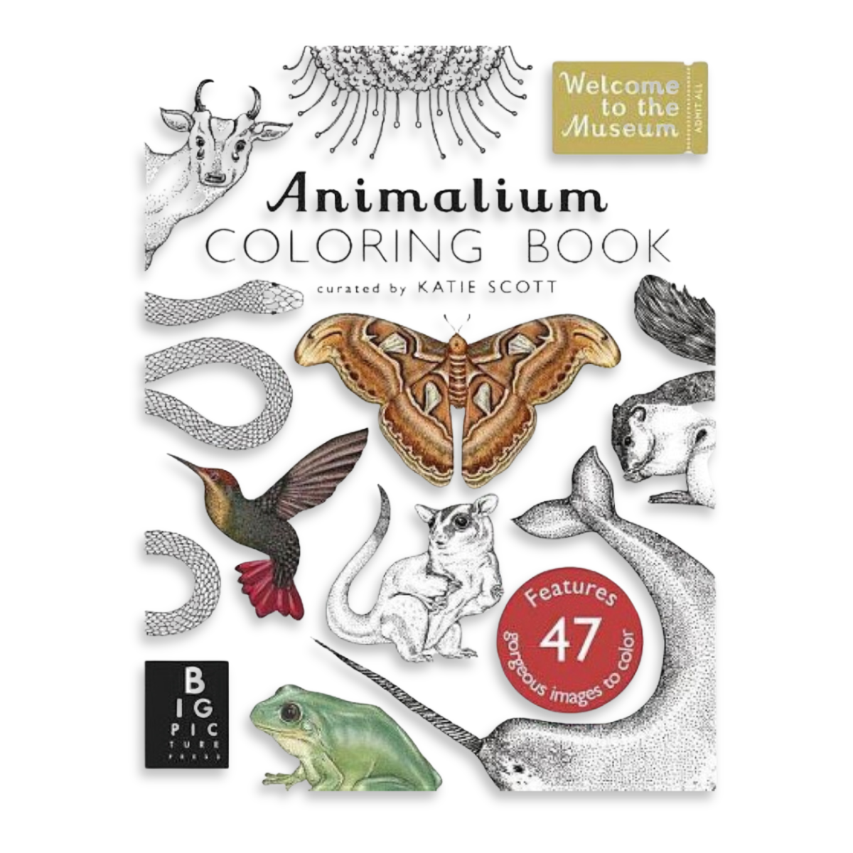 Animalium | Welcome to the Museum Book Collection