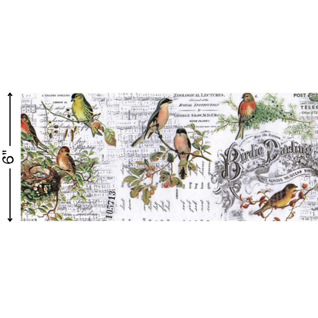 Aviary Collage Paper | idea-ology