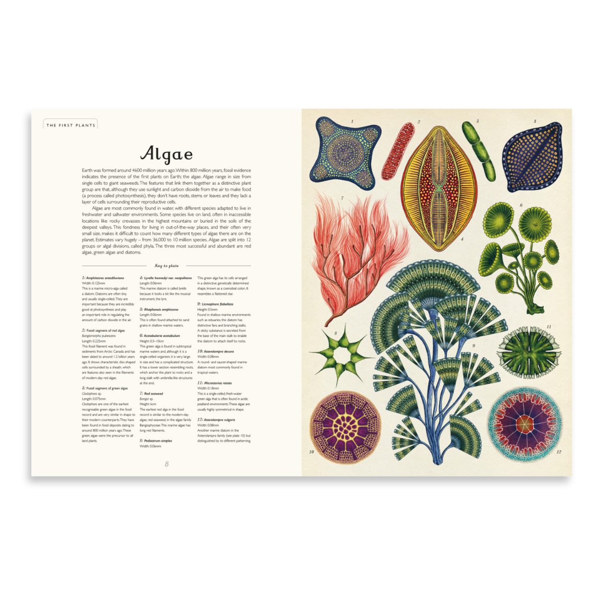 Botanicum | Welcome to the Museum Book Collection