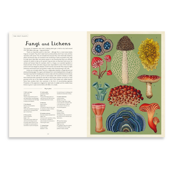 Botanicum | Welcome to the Museum Book Series