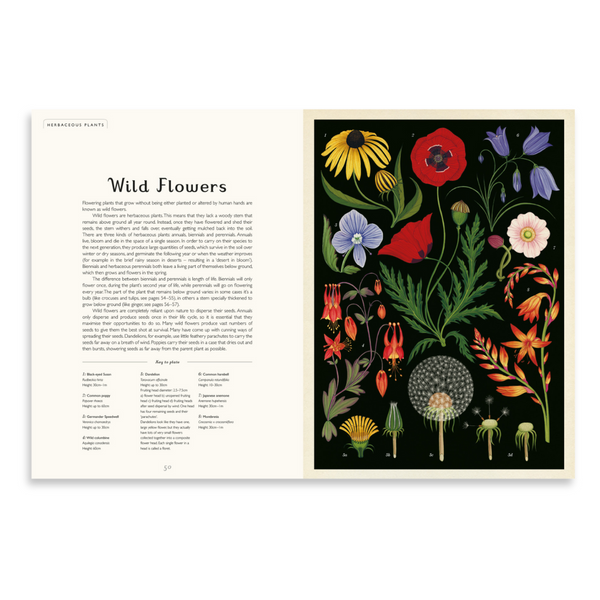 Botanicum | Welcome to the Museum Book Collection