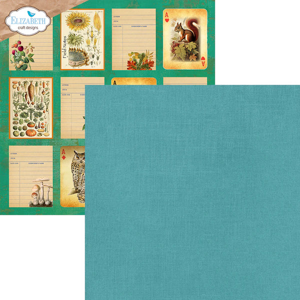 Beautiful Bounty 12x12 Patterned Paper Pack