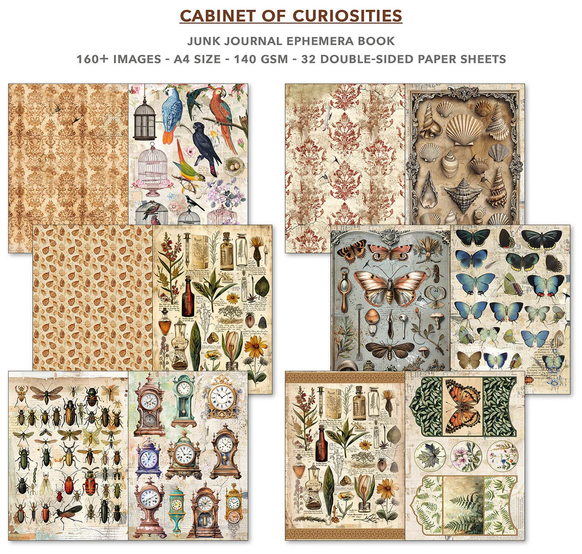 Cabinet of Curiosities Junk Journal Ephemera Book