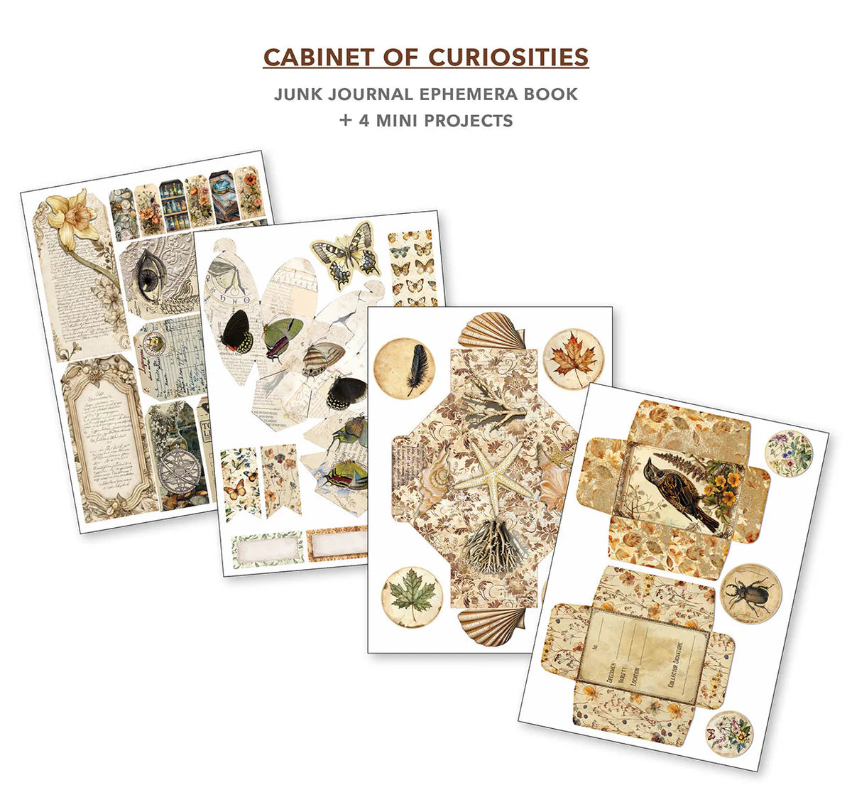 Cabinet of Curiosities Junk Journal Ephemera Book