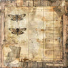 Entomology 8x8 Paper Pad | Tracie Fox