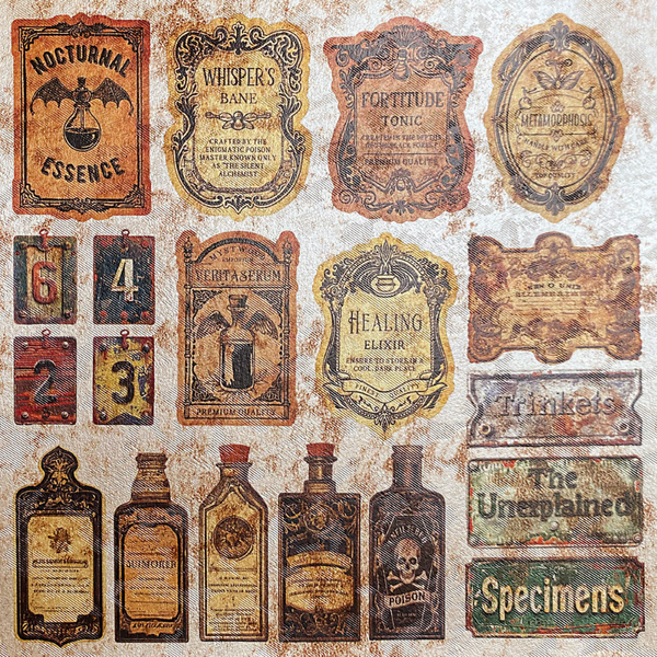 Cabinet Of Curiosities 6x6 Pearl-Copper Deluxe Paper Pack {on the way! ships asap}