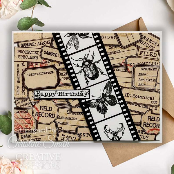 Bugology Negatives 6x8 Clear Stamp Set | Tracie Fox