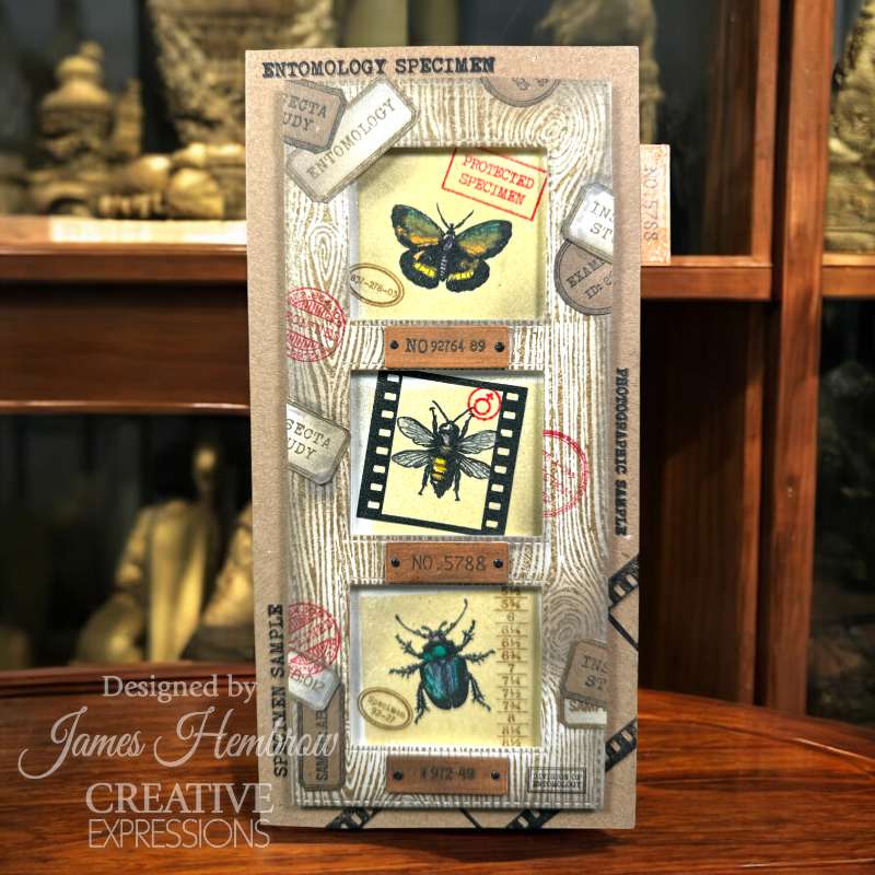 Bugology Negatives 6x8 Clear Stamp Set | Tracie Fox