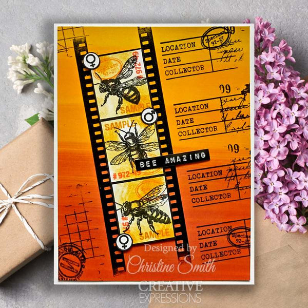 Bugology Negatives 6x8 Clear Stamp Set | Tracie Fox