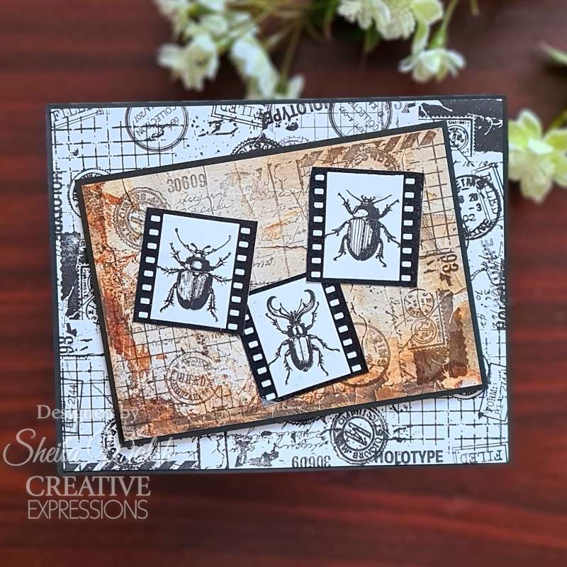 Bugology Negatives 6x8 Clear Stamp Set | Tracie Fox