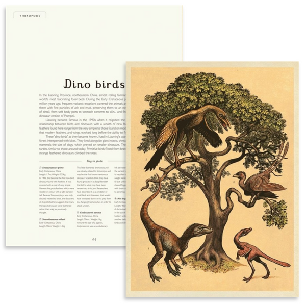 <OOS> Dinosaurium | Welcome to the Museum Book Series