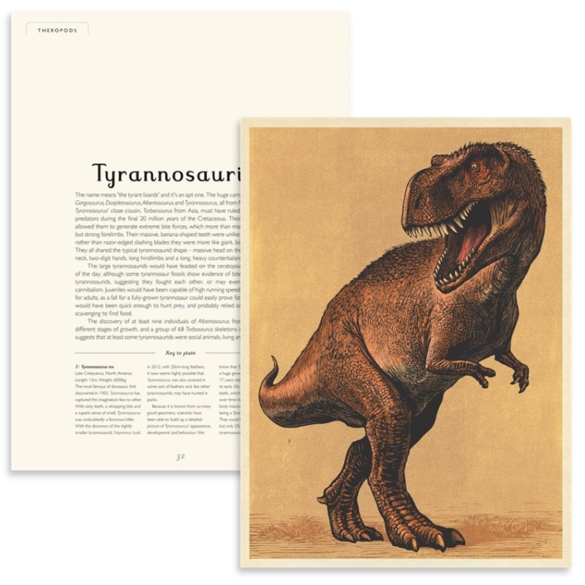 <OOS> Dinosaurium | Welcome to the Museum Book Series