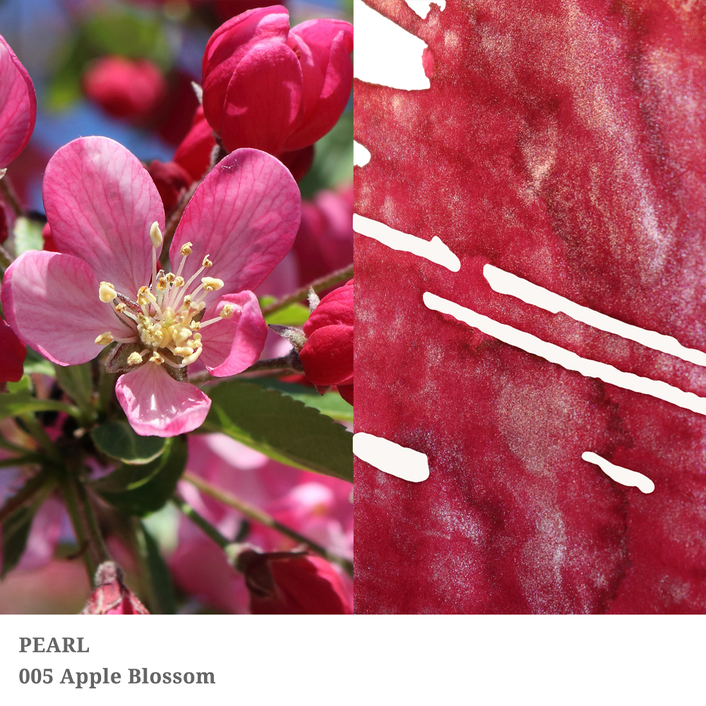 Apple Blossom | Pearl Series