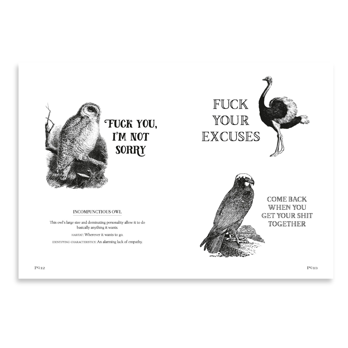 Effin’ Birds Hardcover Book | Reynolds