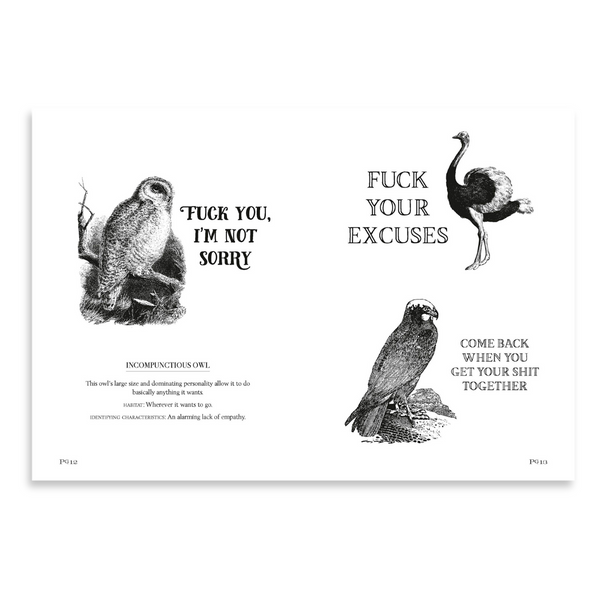 Effin’ Birds Hardcover Book | Reynolds