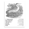 Effin’ Birds Hardcover Book | Reynolds